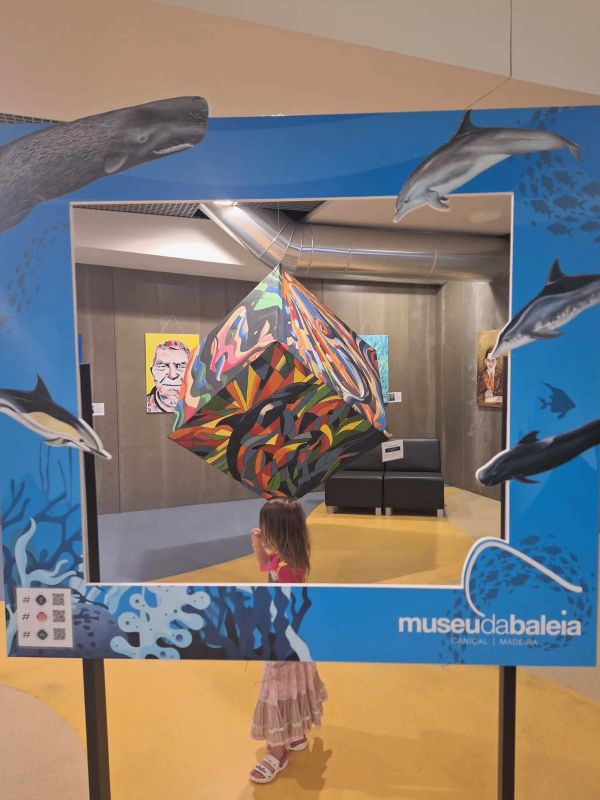 whale museum madeira