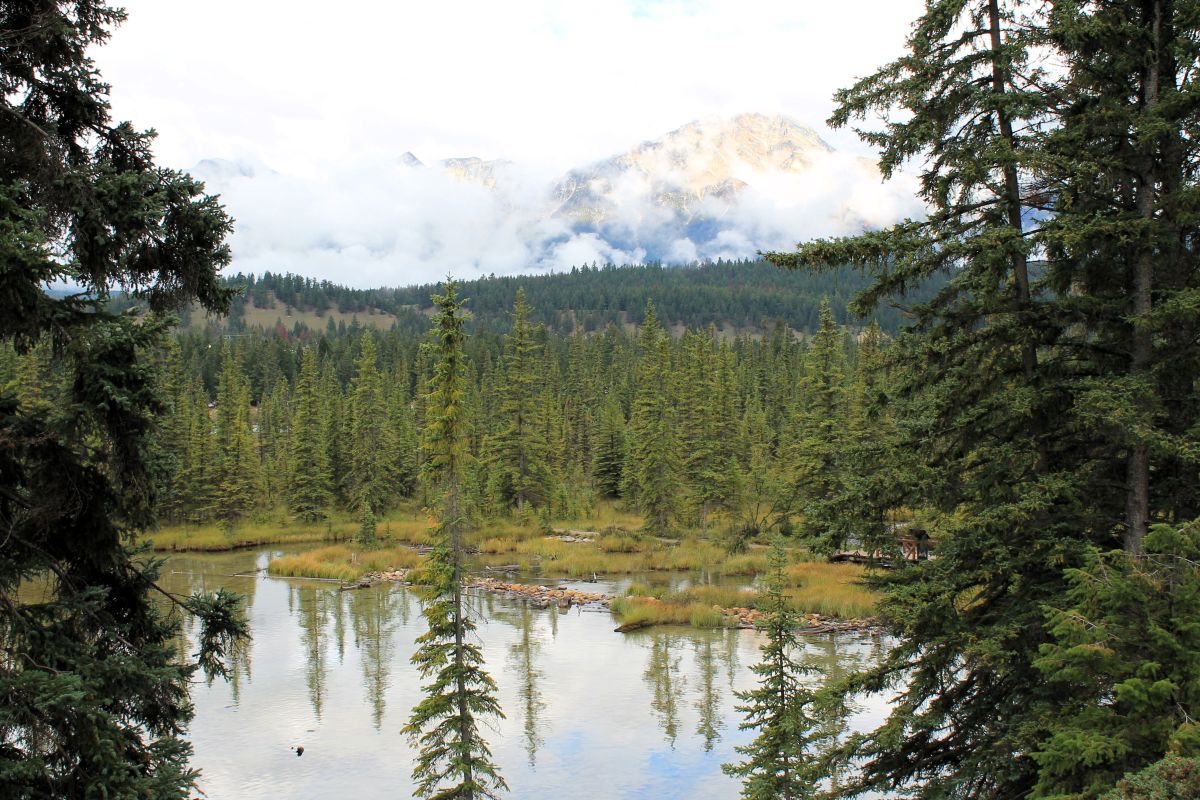 jasper national park views