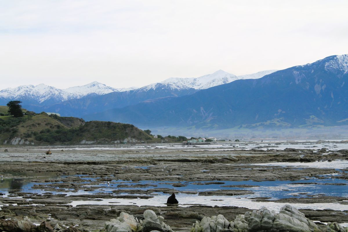 kaikoura mountain scenery