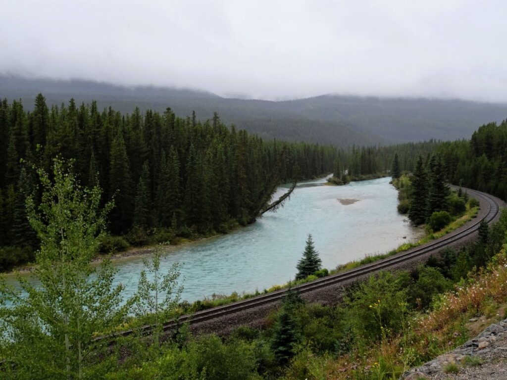 morants curve