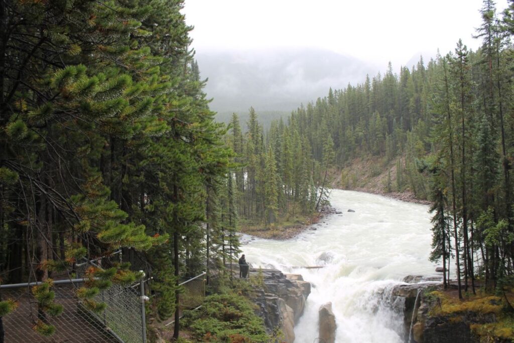 scenery near banff