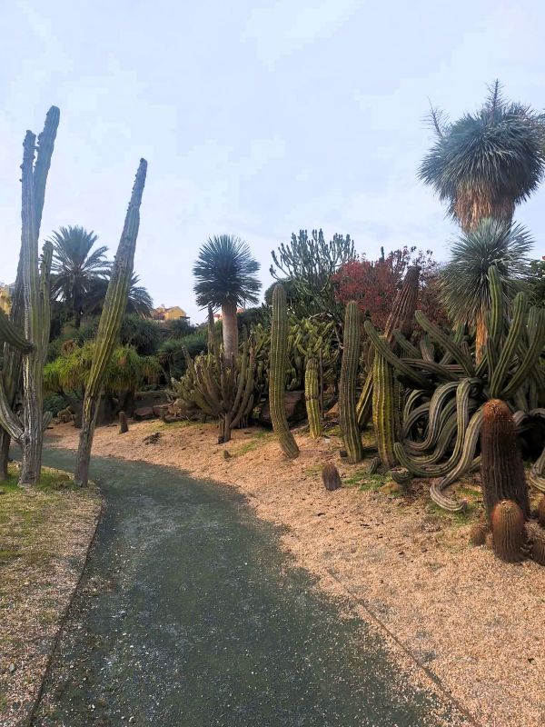 cactus garden benalmadena