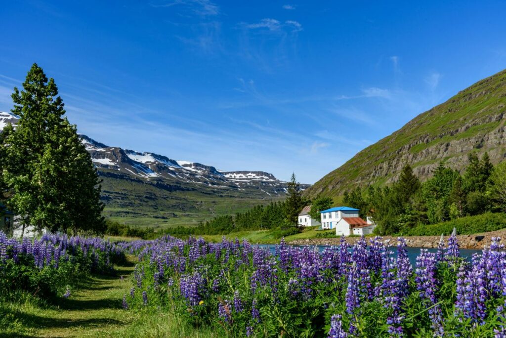Seyðisfjörður