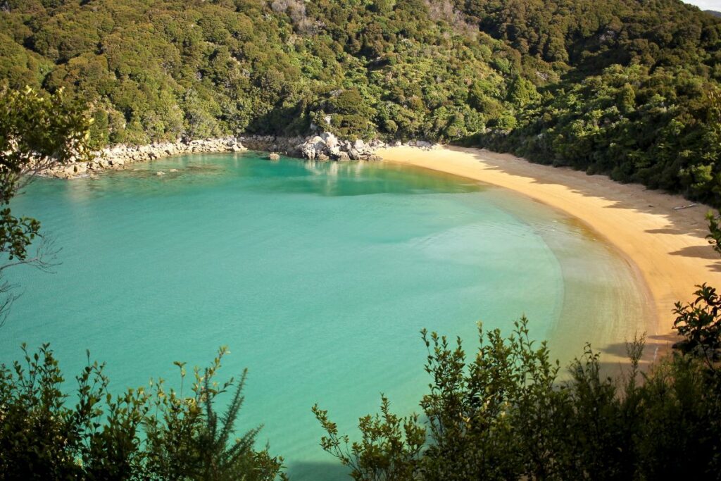 abel tasman np
