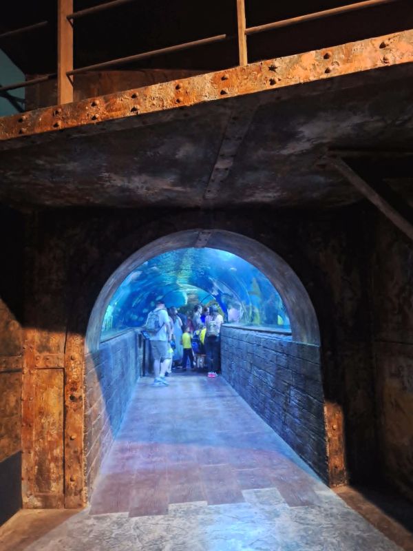 aquarium malta tunnel