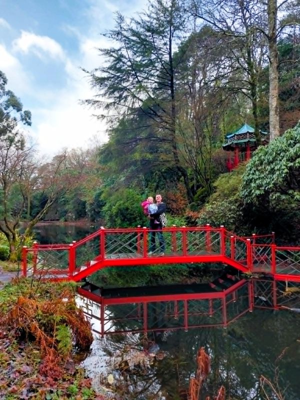 bridge japanese garden portmeirion