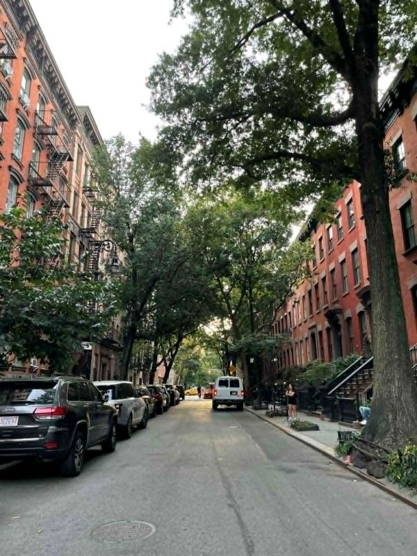 greenwich village street trees