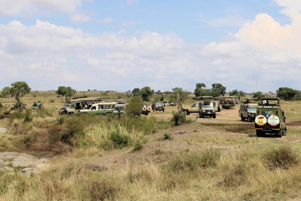 jeeps serngeti safari