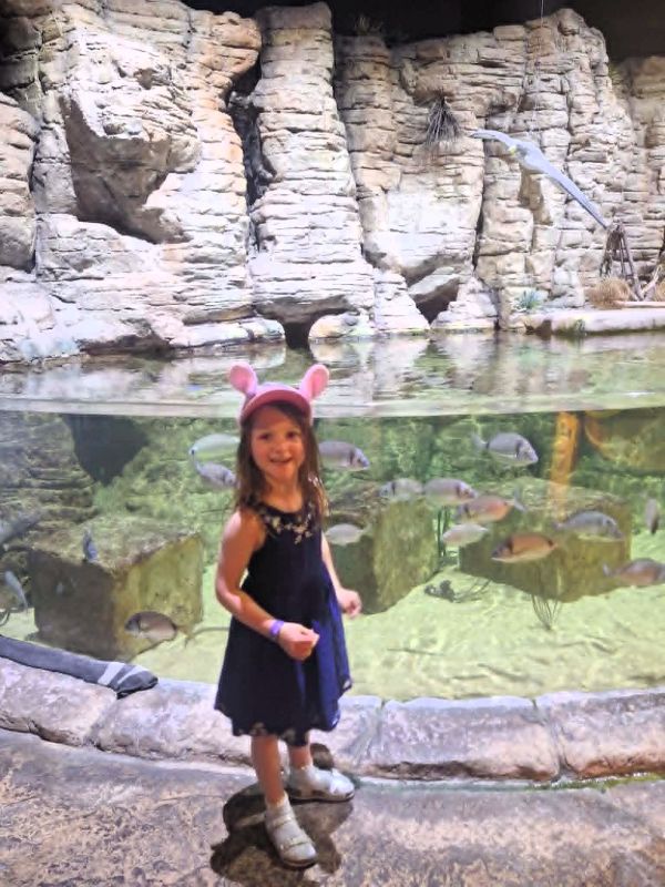 girl aquarium malta