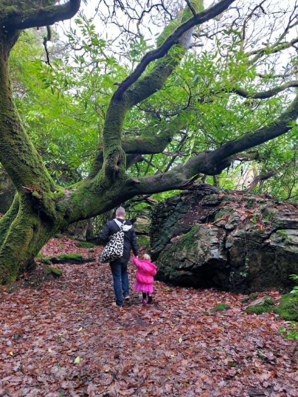 woods portmeirion
