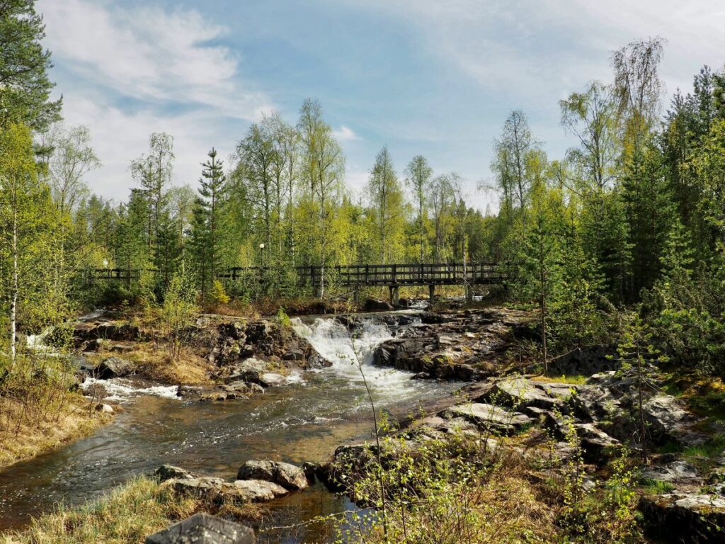 lapland summer