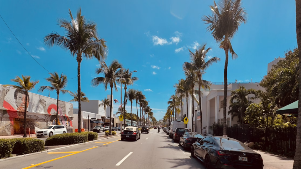 street palm trees miami 