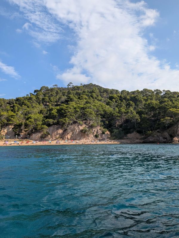 views from glass bottom boat tossa de mar