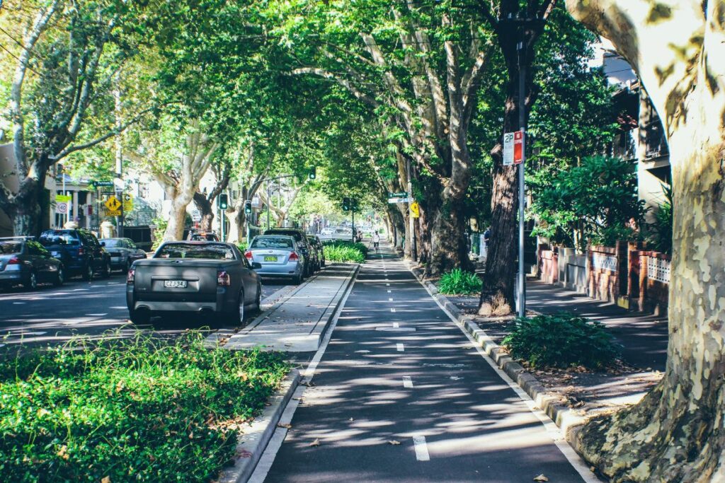 surry hills sydney